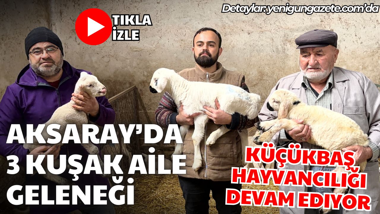Aksaray Acıpınar Köyünde Aktürk ailesi, dededen toruna üç kuşaktır küçükbaş