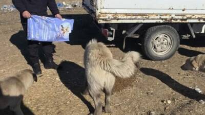 Ortaköy Belediyesi, dondurucu soğukların etkisinde sokak hayvanlarını korumak amacıyla seferberlik