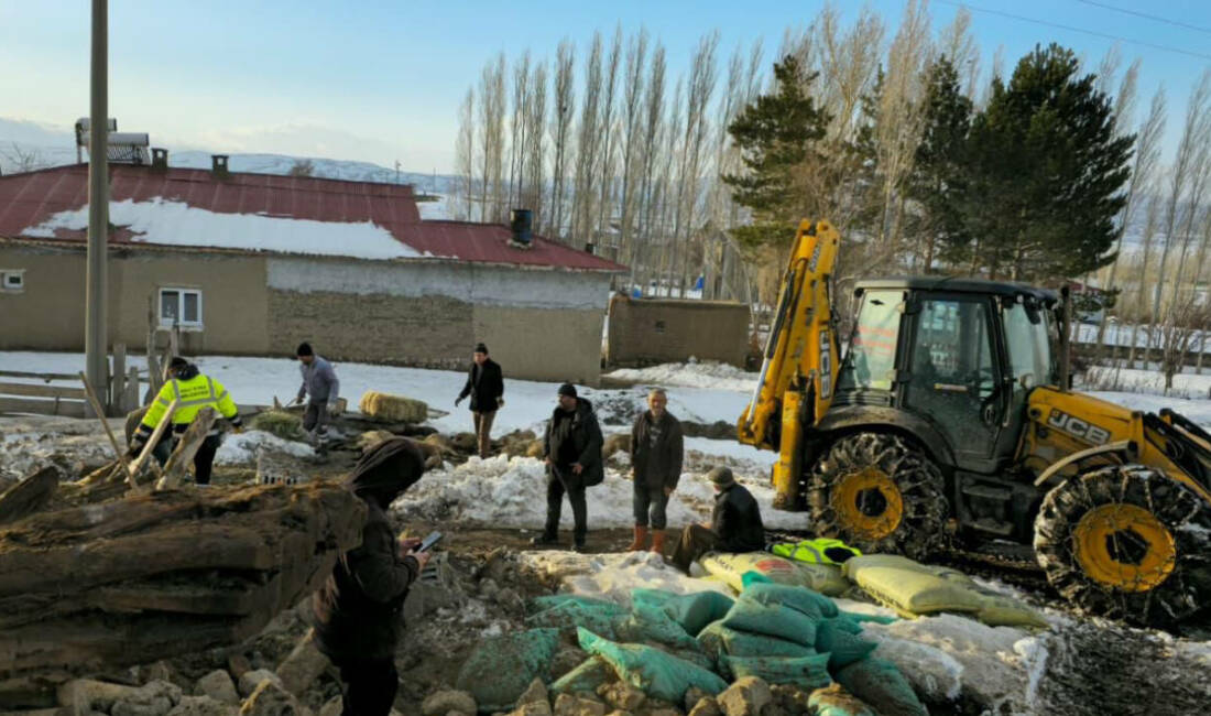 Sivas'ın Altınyayla ilçesinde kar nedeniyle çatısı çöken ağıldaki 40 koyun