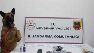 Nevşehir'in Gülşehir ilçesinde düzenlenen uyuşturucu operasyonunda yakalanan zanlı tutuklandı.