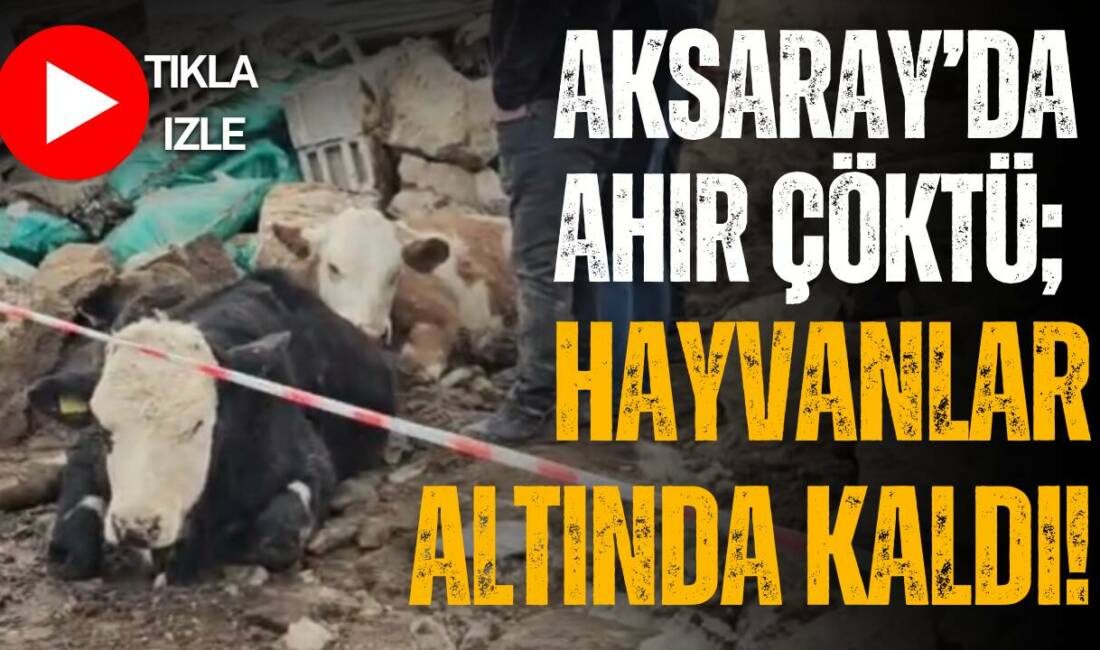 Gücünkaya köyünde ahır duvarının çökmesi sonucu kilolarca taşların altında kalan