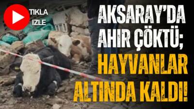 Gücünkaya köyünde ahır duvarının çökmesi sonucu kilolarca taşların altında kalan