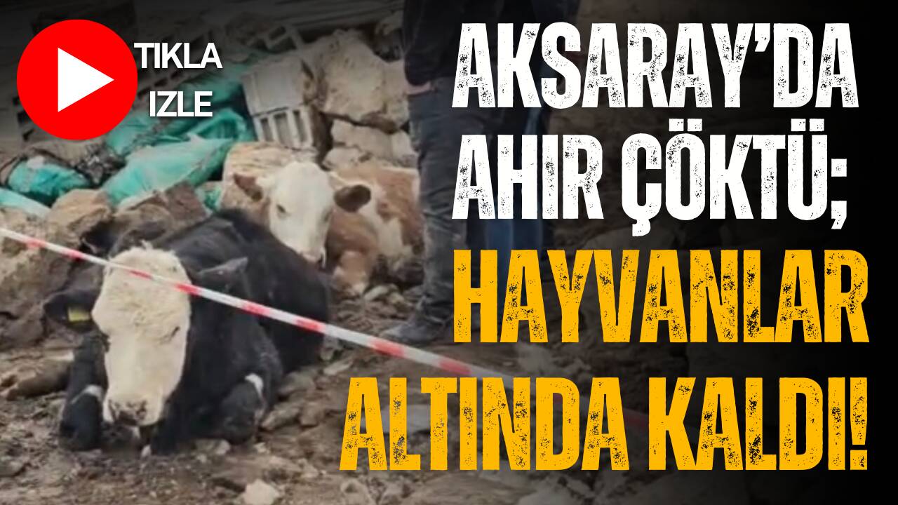 Gücünkaya köyünde ahır duvarının çökmesi sonucu kilolarca taşların altında kalan