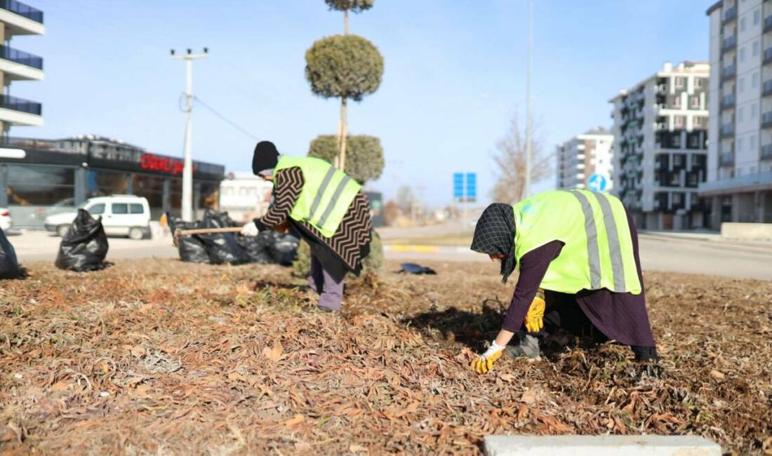 Aksaray Belediyesi, Tacin Mahallesi Bilim Merkezi çevresinde yürütülen peyzaj, çevre