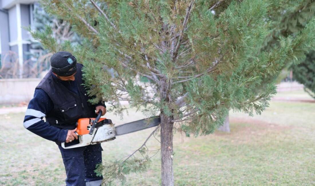 Aksaray Belediyesi, çevreyi koruma ve kent estetiğini güçlendirme hedefi doğrultusunda