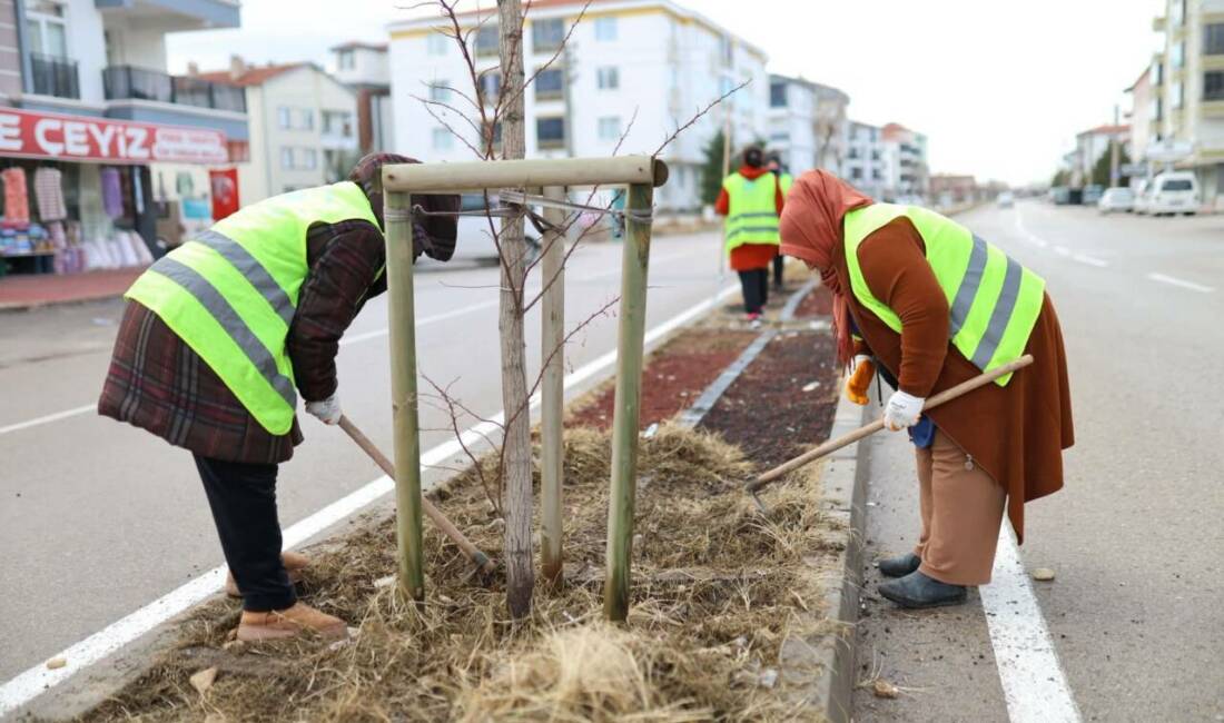 Aksaray Belediyesi, kentin önemli ulaşım akslarından Paşacık Caddesi’nde yürüttüğü peyzaj