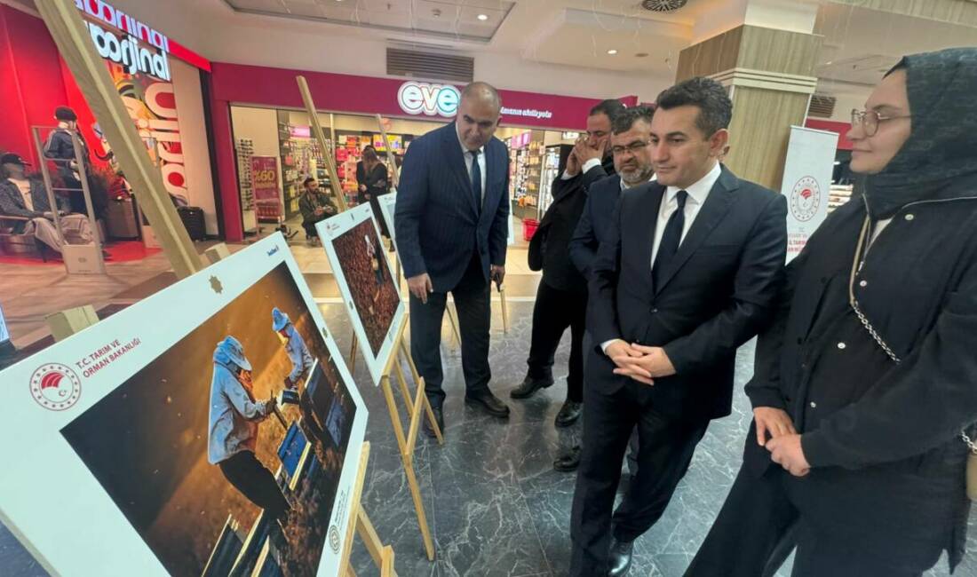 Tarım ve Orman Bakanlığı’nın uluslararası yarışmasında derece alan 30 eser,
