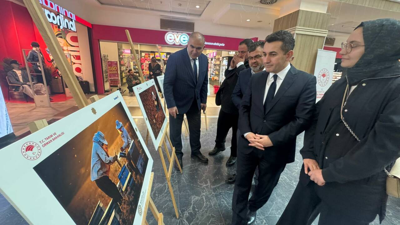 Tarım ve Orman Bakanlığı’nın uluslararası yarışmasında derece alan 30 eser,