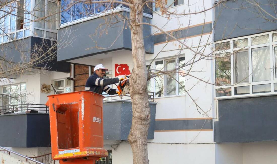 Aksaray Belediyesi, kent genelinde mevsim koşullarına uygun budama çalışması yürütüyor.