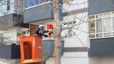 Aksaray Belediyesi, kent genelinde mevsim koşullarına uygun budama çalışması yürütüyor.