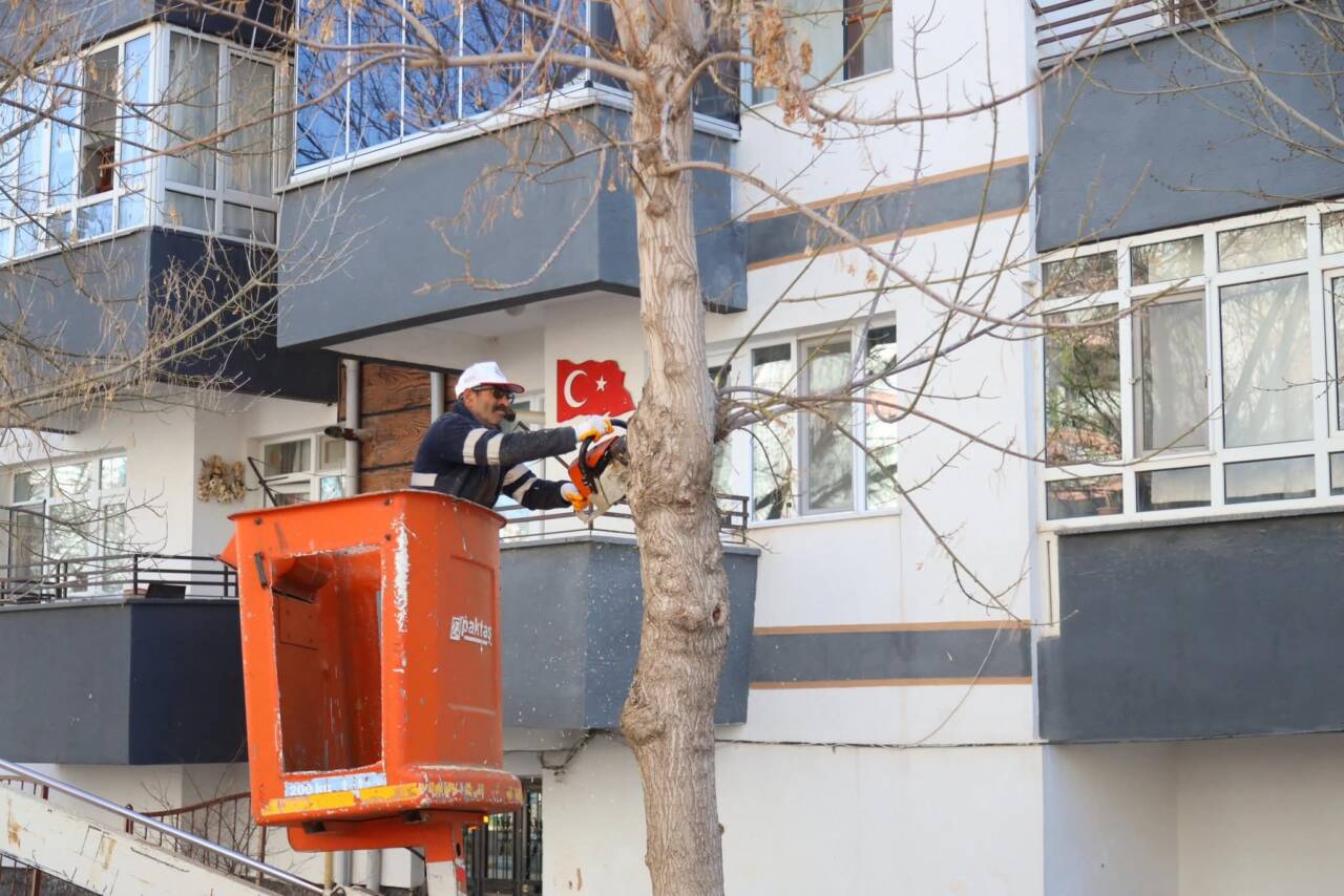 Aksaray Belediyesi, kent genelinde mevsim koşullarına uygun budama çalışması yürütüyor.