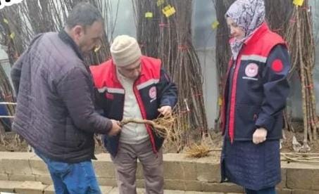 Aksaray genelinde fidan üretim ve satış noktalarına yönelik denetimler aralıksız