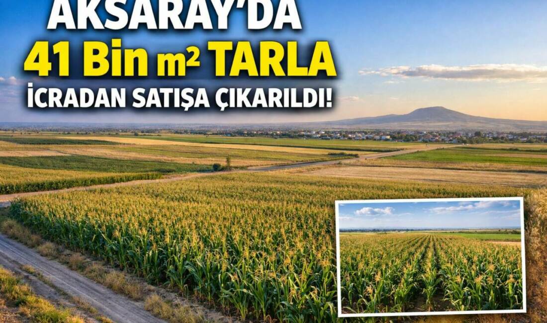 Aksaray Merkez’e bağlı Hatapoğlu köyünde 41.979 metrekare büyüklüğündeki tarla, 8,3