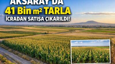 Aksaray Merkez’e bağlı Hatapoğlu köyünde 41.979 metrekare büyüklüğündeki tarla, 8,3