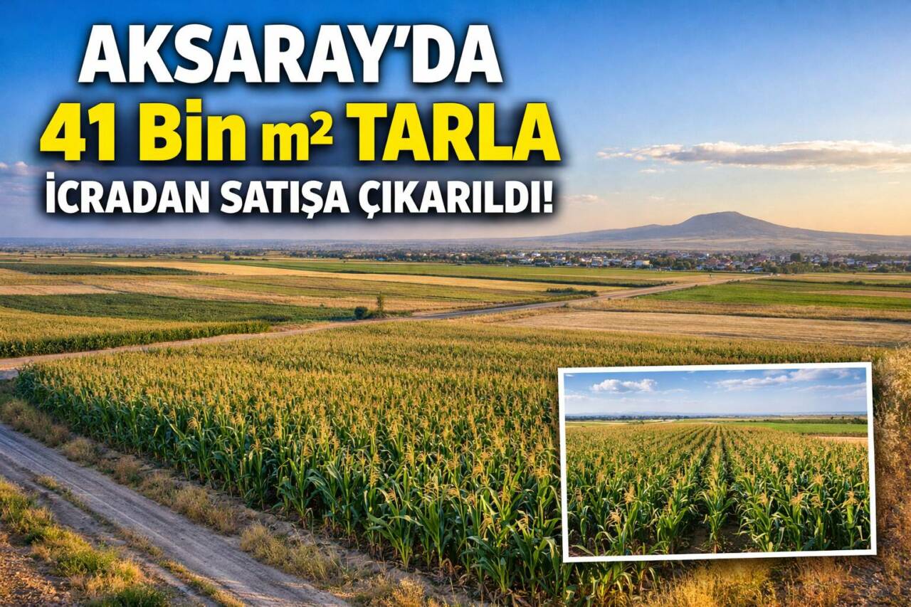 Aksaray Merkez’e bağlı Hatapoğlu köyünde 41.979 metrekare büyüklüğündeki tarla, 8,3
