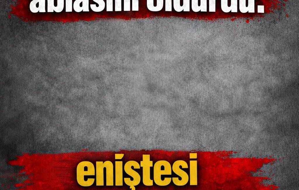 İzmir'de arsa anlaşmazlığı nedeniyle Almanya'dan gelerek ablasını öldürüp eniştesini ağır