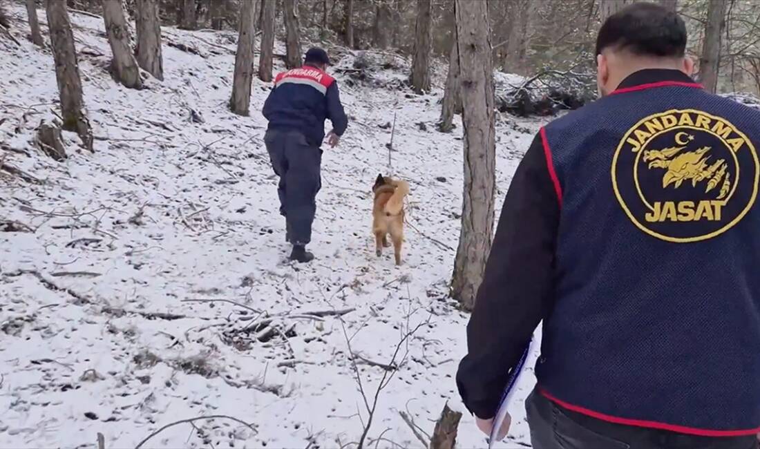 Jandarma Genel Komutanlığının NSosyal hesabından yapılan açıklamaya göre, Bolu'nun Mengen