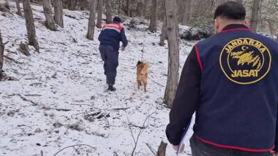 Jandarma Genel Komutanlığının NSosyal hesabından yapılan açıklamaya göre, Bolu'nun Mengen