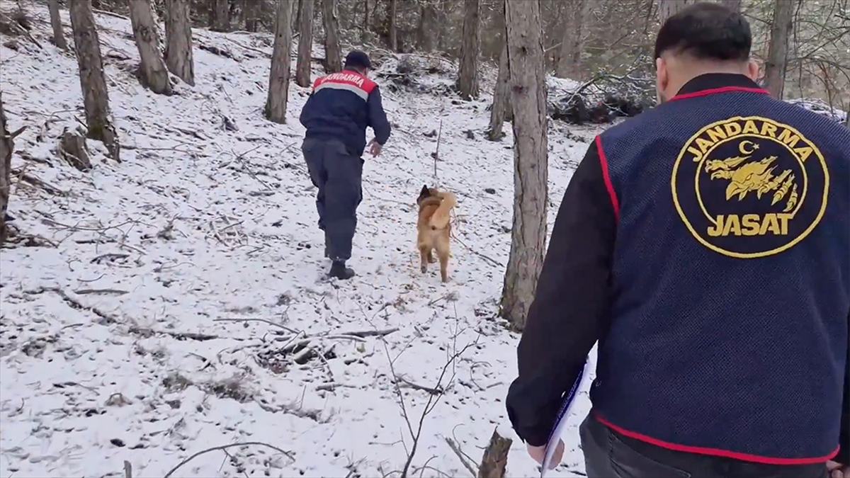 Jandarma Genel Komutanlığının NSosyal hesabından yapılan açıklamaya göre, Bolu'nun Mengen