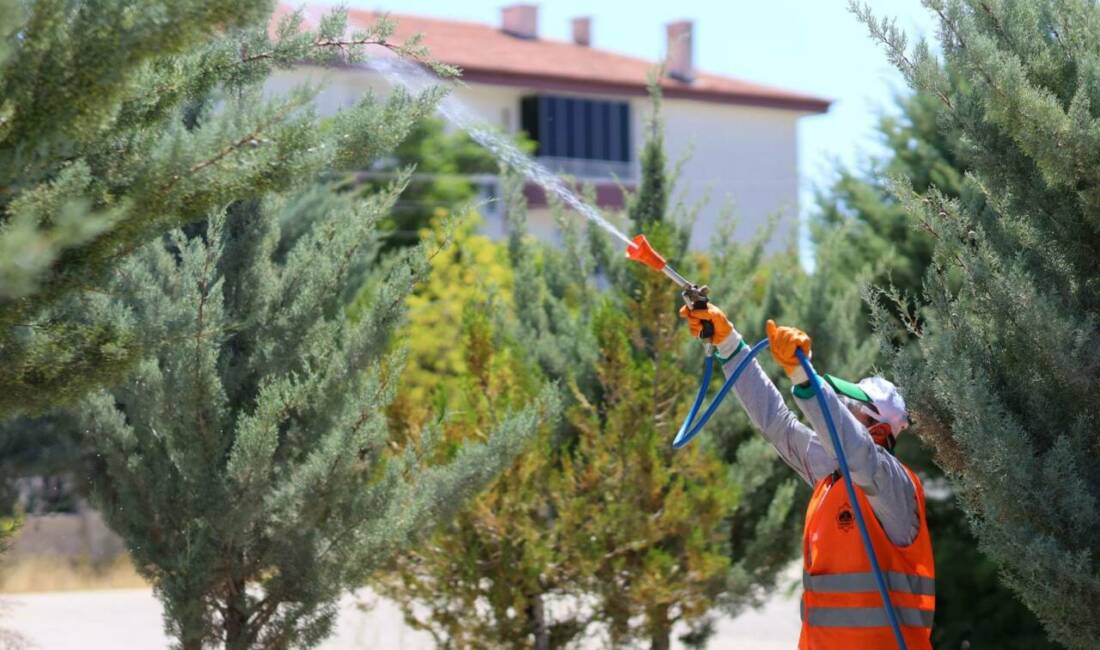 Aksaray Belediyesi bünyesinde faaliyet gösteren Aksaray Belediyesi Veteriner Hizmetleri Müdürlüğü