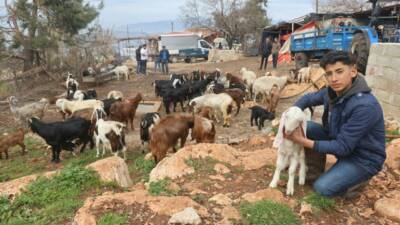 Hatay'ın Yayladağı ilçesinde yaşayan Nurullah Şengül'e ait 43 küçükbaş hayvan,