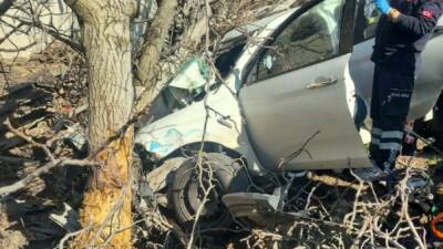 Aydın'ın Bozdoğan ilçesinde kontrolden çıkan otomobilin yol kenarındaki ağaçlara çarpması