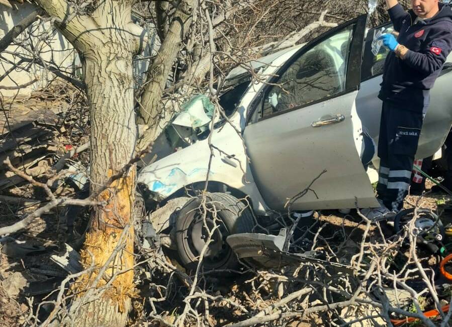 Aydın'ın Bozdoğan ilçesinde kontrolden çıkan otomobilin yol kenarındaki ağaçlara çarpması