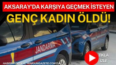 Aksaray’da Niğde-Ankara otoyolu Gülağaç ile Derinkuyu mevkiinde yolun karşısına geçmek