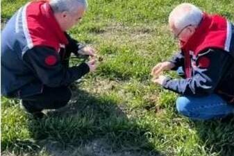 Aksaray İl Tarım ve Orman Müdürlüğü ekipleri, hububat üretim alanlarında