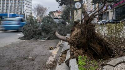 Başkentte üzerine ağaç devrilen park halindeki otomobilde hasar meydana geldi.