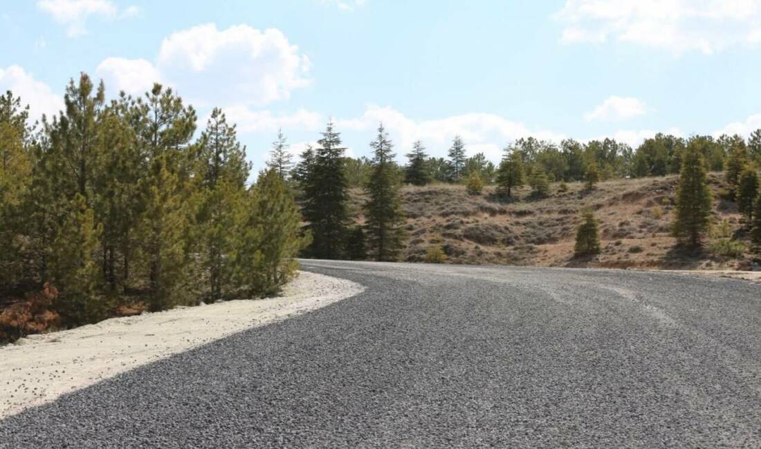 Aksaray Belediyesi, Yeni Şehir Mezarlığı ve külliye çevresinde yürütülen çevre