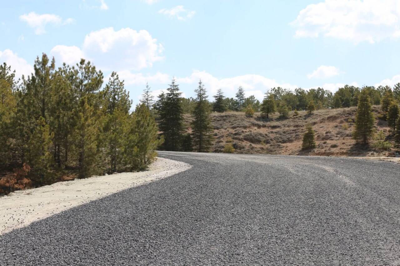 Aksaray Belediyesi, Yeni Şehir Mezarlığı ve külliye çevresinde yürütülen çevre