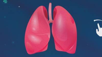 Kronik solunum hastalıklarında uygulanan pulmoner rehabilitasyon programları; egzersiz, beslenme ve