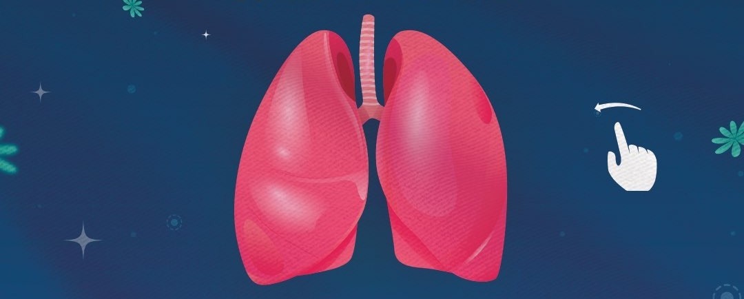Kronik solunum hastalıklarında uygulanan pulmoner rehabilitasyon programları; egzersiz, beslenme ve