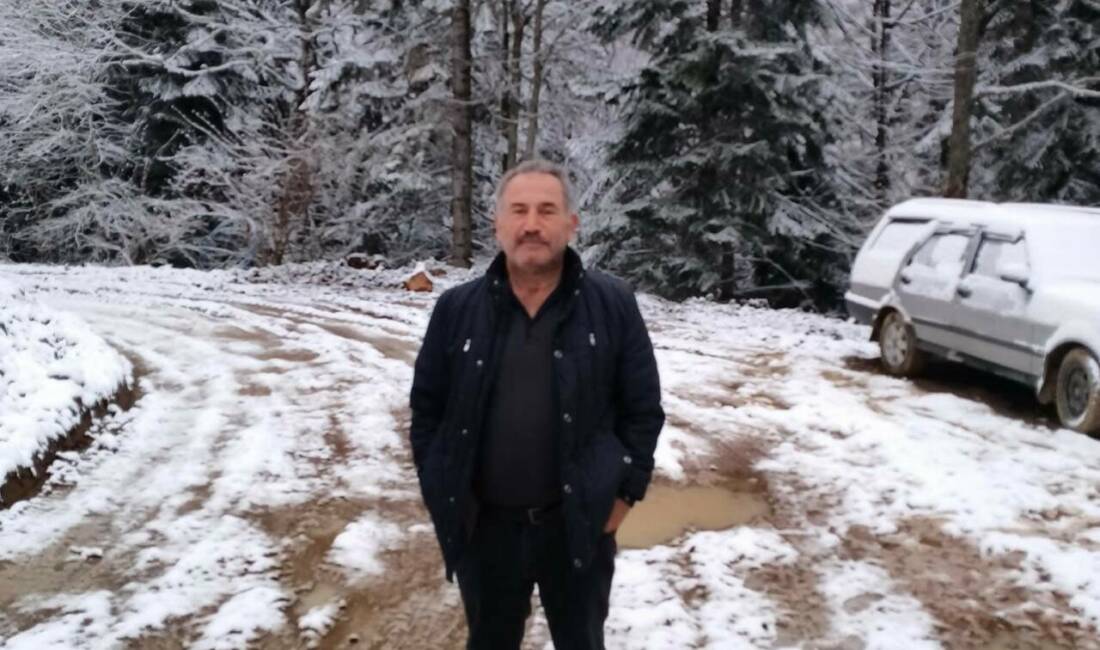 Karabük’ün Yenice ilçesinde ormanlık alanda ağaç kesimi sırasında devrilen ağacın