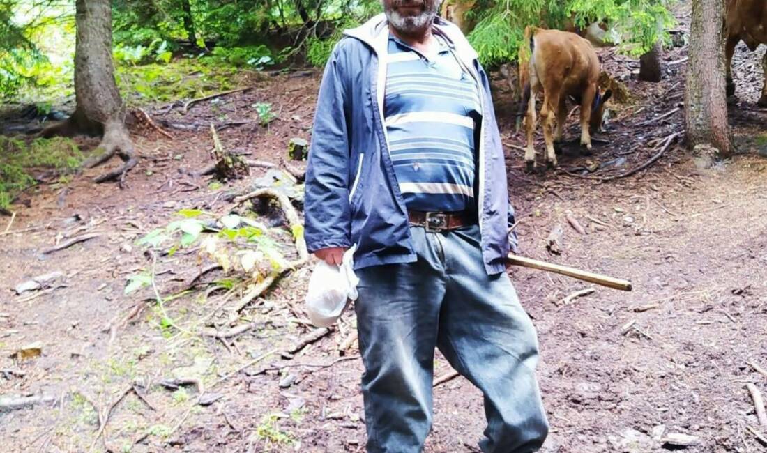 Artvin’in Ardanuç ilçesinde merdivenlerden düşen bir kişi, kaldırıldığı hastanede hayatını