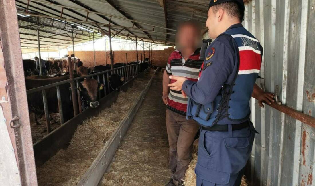 Eskişehir'de 22 adet büyükbaş hayvanı 1 milyon 940 bin TL