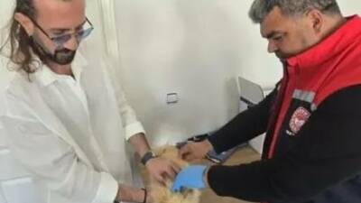 Aksaray’da kedi ve köpeklerin aşılanması ve kimliklendirilmesine yönelik çalışmalar aralıksız