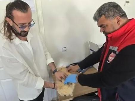 Aksaray’da kedi ve köpeklerin aşılanması ve kimliklendirilmesine yönelik çalışmalar aralıksız