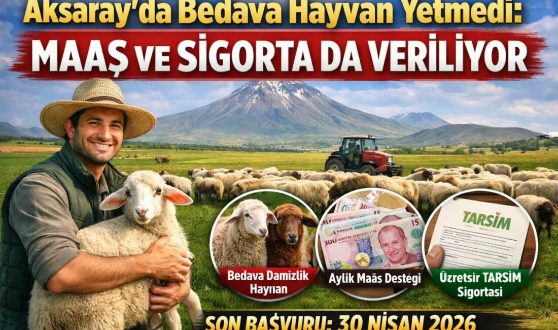 Aksaray’da Kırsalda Bereket Küçükbaş Destek Projesi kapsamında başvurular başladı. Tarım