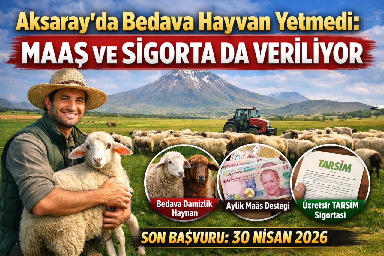Aksaray’da Kırsalda Bereket Küçükbaş Destek Projesi kapsamında başvurular başladı. Tarım