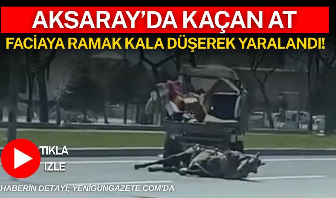 Aksaray Konya Bulvarı’nda sahibinden kaçan at, at arabasıyla birlikte düşerek