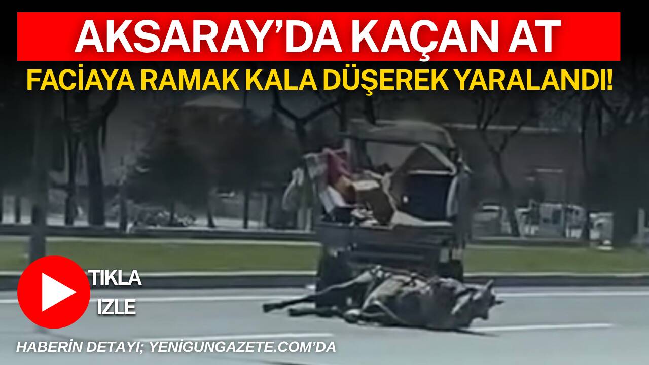Aksaray Konya Bulvarı’nda sahibinden kaçan at, at arabasıyla birlikte düşerek