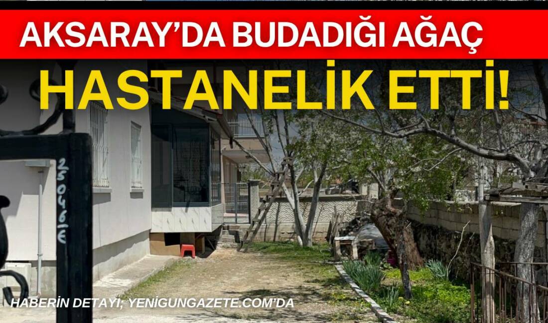 Aksaray'da budadığı ağaçtan düşen 47 yaşındaki adam yaralandı.
