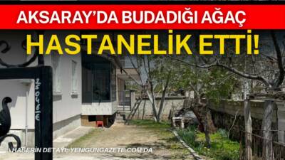 Aksaray'da budadığı ağaçtan düşen 47 yaşındaki adam yaralandı.