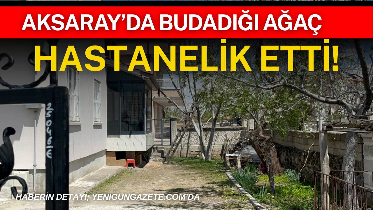 Aksaray'da budadığı ağaçtan düşen 47 yaşındaki adam yaralandı.