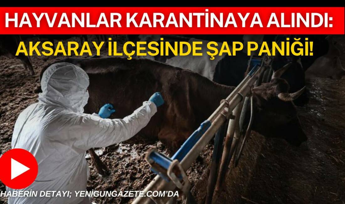 Aksaray’ın Eskil ilçesine bağlı Kaputaş Yaylası’nda şap hastalığı riski nedeniyle