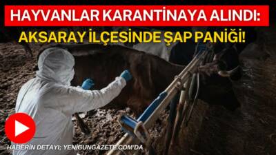 Aksaray’ın Eskil ilçesine bağlı Kaputaş Yaylası’nda şap hastalığı riski nedeniyle