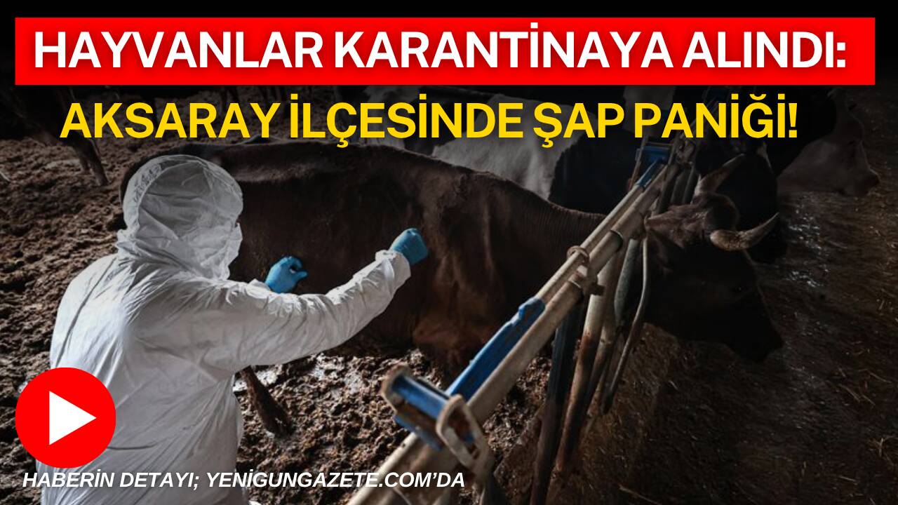 Aksaray’ın Eskil ilçesine bağlı Kaputaş Yaylası’nda şap hastalığı riski nedeniyle
