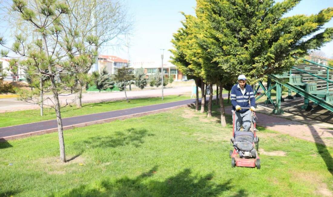​Aksaray Belediyesi, şehrin estetik görünümünü güzelleştirmek ve yeşil alan miktarını